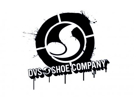 dvs 